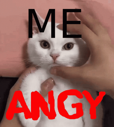 Person Petting White Cat Me Angry GIF