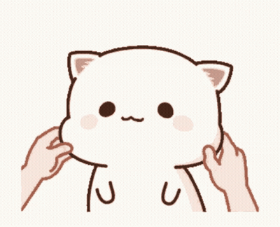 Person Petting White Cat's Head GIF