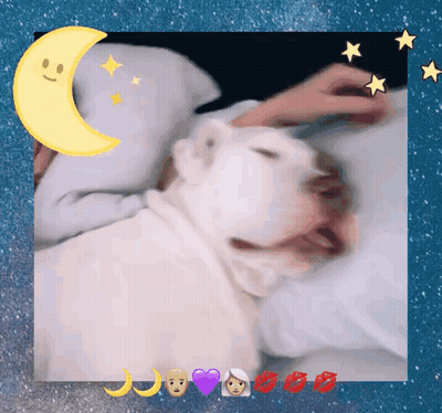 Person Petting White Dog With Crescent Moon GIF