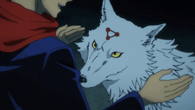 Person Petting White Wolf With Red Triangle GIF