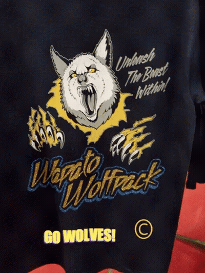 Person Petting Wolf Lying On Ground GIF