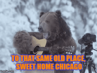 Person Phone Stuffed Animal: Everybody's Gotta See This GIF