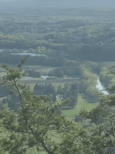 Person Playing Video Game At 168M 250 GIF