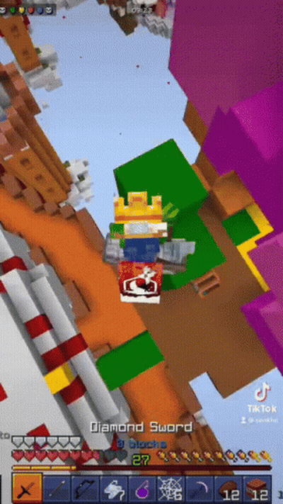 Person Playing Video Game With Diamond Sword GIF