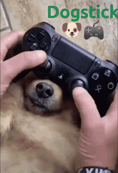 Person Playing Video Game With Dog Through Controller GIF