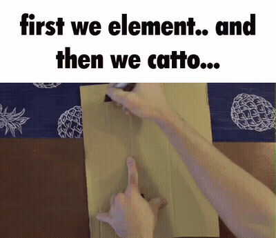 Person Pointing At Cardboard Saying First We Element GIF