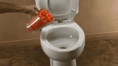 Person Pouring Carrots Into Toilet With Blender GIF