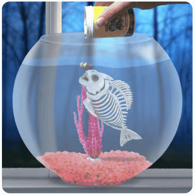 Person Pouring Food Into Fish Bowl With Skeleton Fish GIF
