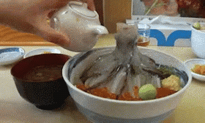 Person Pouring Liquid Into Bowl With Octopus GIF