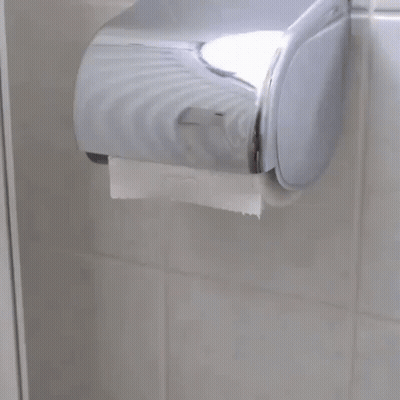 Person Pulling Toilet Paper From Dispenser GIF