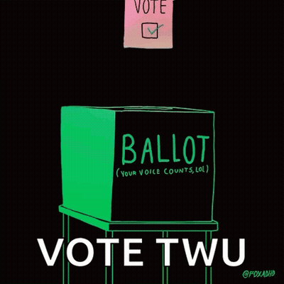 Person Putting Ballot In Box GIF