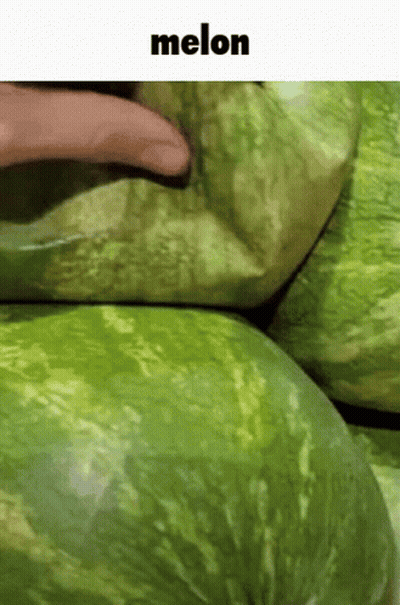 Person Putting Finger Into Watermelon Saying Melon GIF