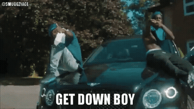 Person Putting Food Into Tabby Hungry Machine GIF