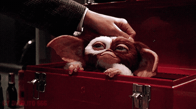 Person Putting Gizmo In Red Box GIF
