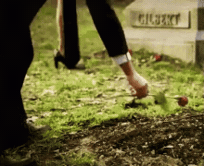 Person Putting Rose On Gilbert Grave GIF