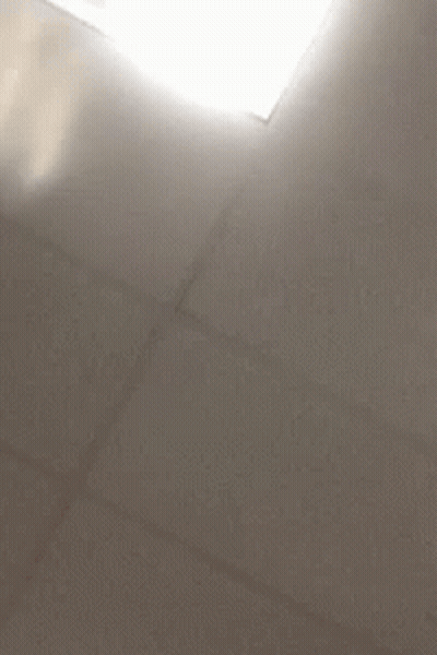 Person Reaching For Ceiling Light GIF