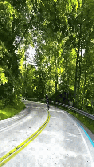 Person Riding Bike Down Road With Trees GIF