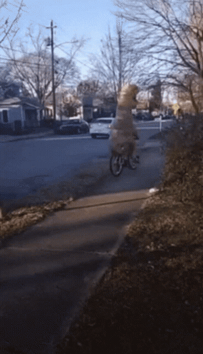 Person Riding Bike Down Sidewalk GIF