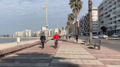 Person Riding Bike On Sidewalk By Beach GIF