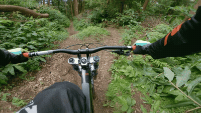Person Riding Bike On Trail With Fox Glove GIF
