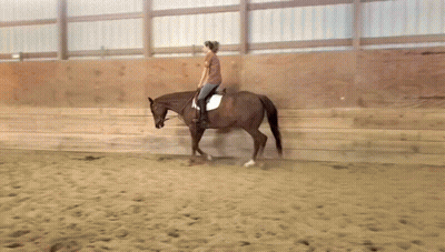 Person Riding Brown Horse In Sandy Area GIF