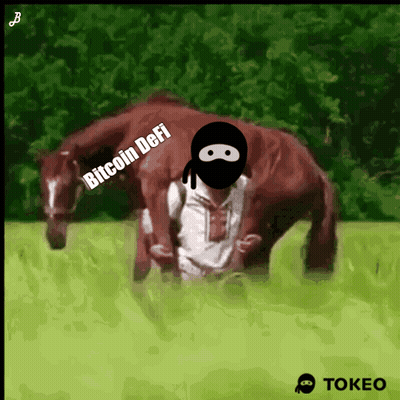 Person Riding Horse Bitcoin Defi GIF