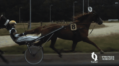 Person Riding Horse Drawn Carriage Strategie Executie GIF