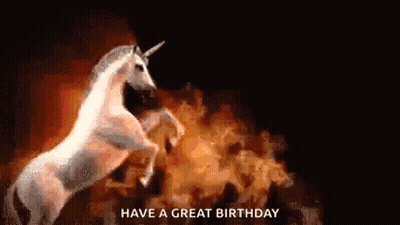 Person Riding Horse Holding Lasso GIF