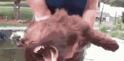 Person Riding Horse In Canyon GIF