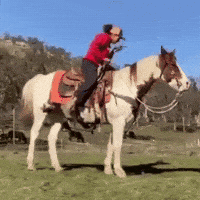 Person Riding Horse In Field GIF