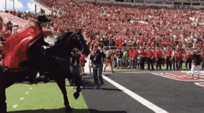 Person Riding Horse In Field With Crowd GIF