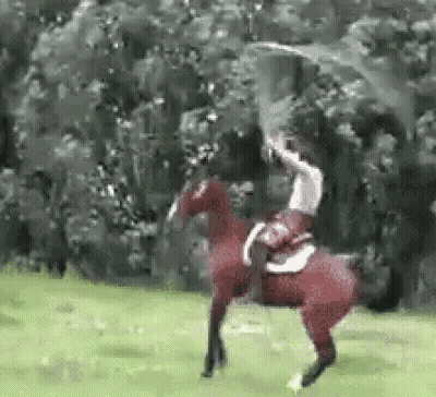 Person Riding Horse With Sword GIF