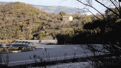 Person Riding Motorcycle On Curvy Road GIF
