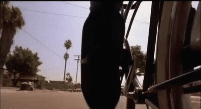 Person Riding Motorcycle With Palm Tree GIF
