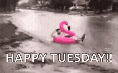 Person Riding Pink Flamingo Float In River GIF