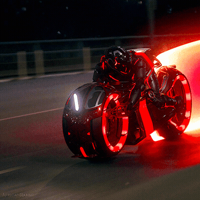 Person Riding Red Motorcycle With Africanrabbit