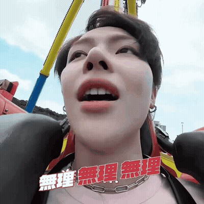 Person Riding Roller Coaster With Chinese Writing GIF