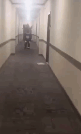 Person Riding Scooter In Hotel Hallway GIF