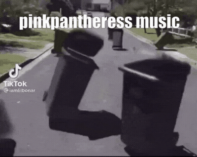 Person Riding Scooter Next To Trash Can Saying Pinkpanthers Music GIF