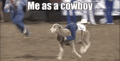 Person Riding Sheep On Dirt Field GIF