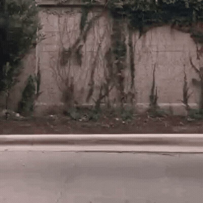 Person Riding Skateboard Down Street GIF