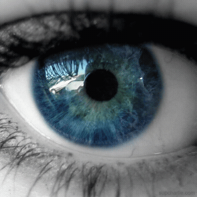 Person's Eye Close Up Supcharlie.com GIF