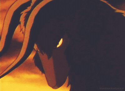 Person's Face Close Up With Blackbacked Jackal GIF