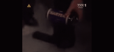Person's Face With TVP 1 GIF