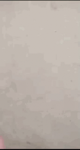 Person's Hand Giving Thumbs Up GIF
