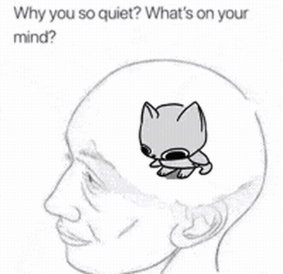 Person's Head With Cat Inside GIF