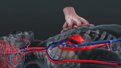 Person's Heart GIF