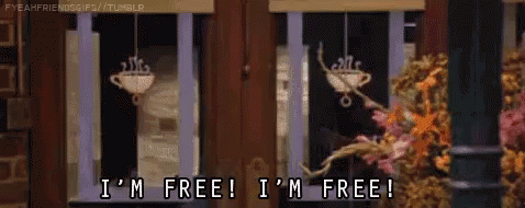 Person Saying Im Free GIF