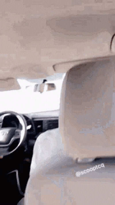 Person Sitting In Car Back Seat GIF
