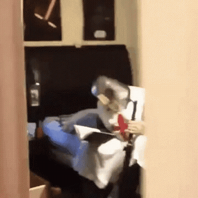 Person Sitting On Couch Reading Book GIF